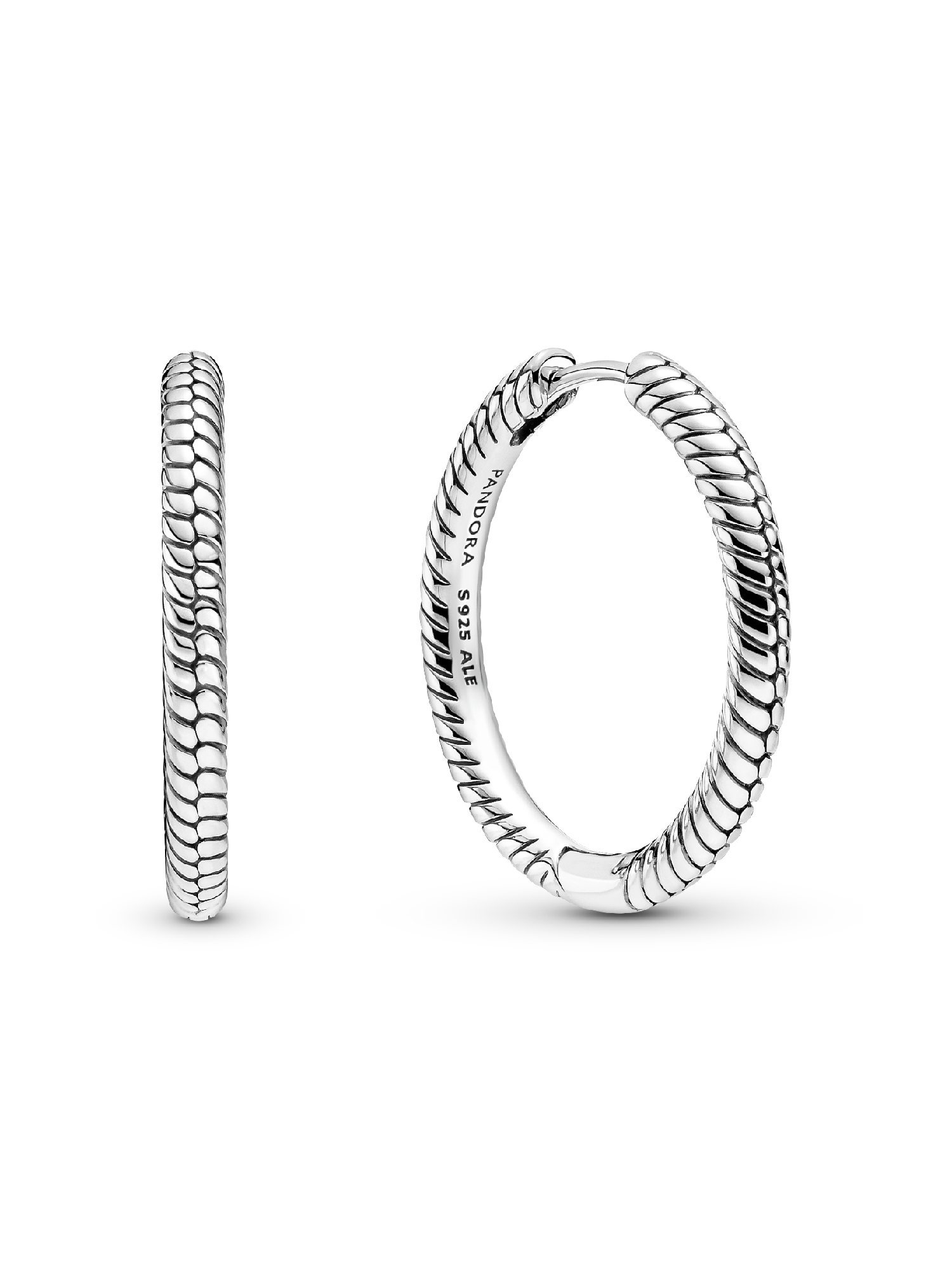Pandora Moments Charm-Ohrringe