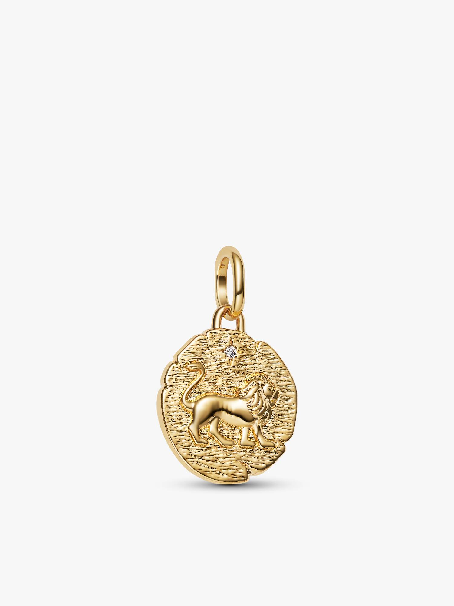 Medallion Leone "Vita Veritas Virtus"