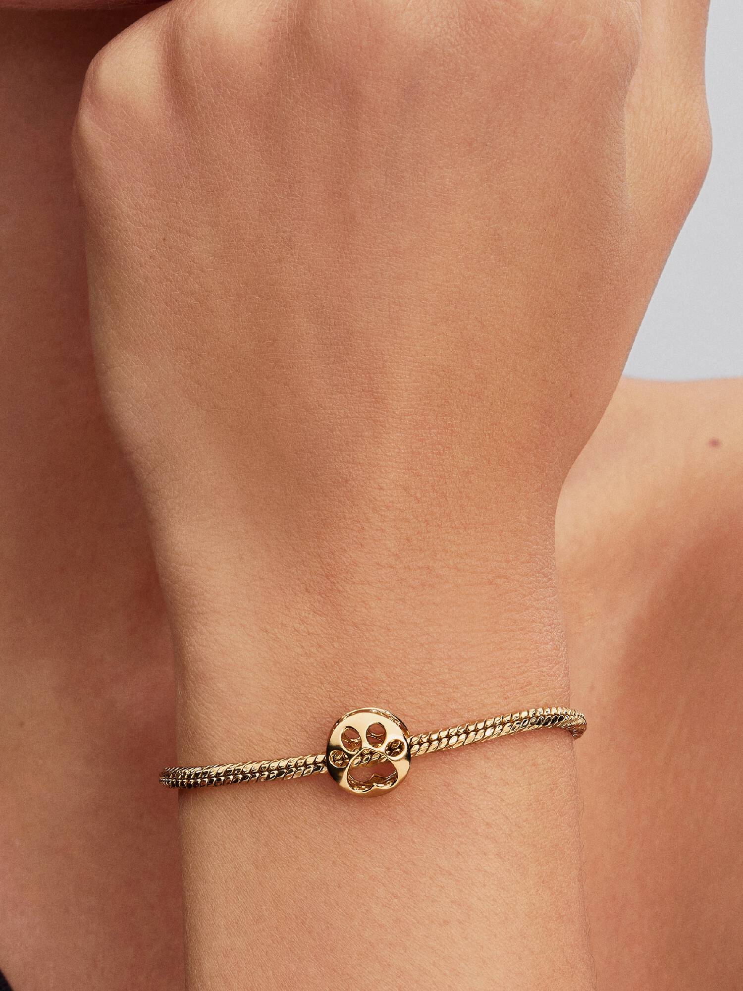 Offen gearbeitetes Pfote Charm