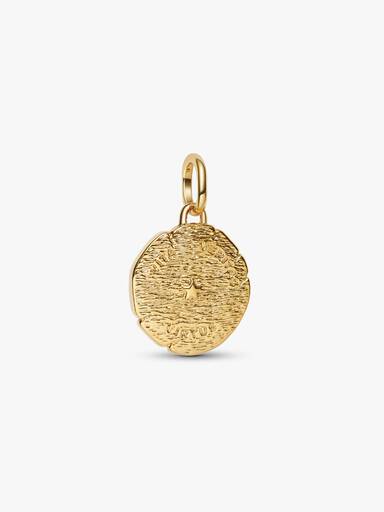 Charm Médaillon Lion