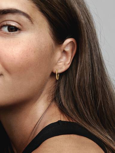 Pandora Moments Kleine Charm-Ohrringe