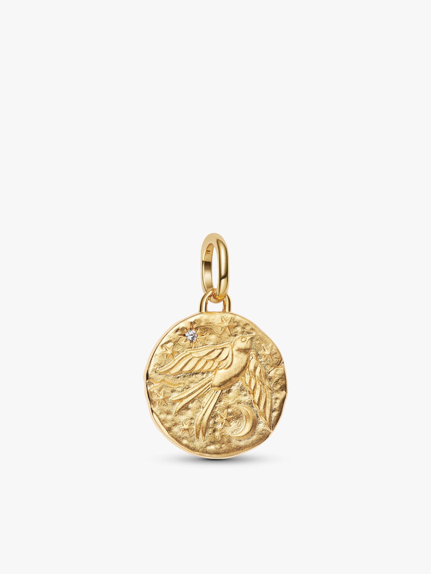 Medallion Rondine "Dum Vita Est Spes Est"