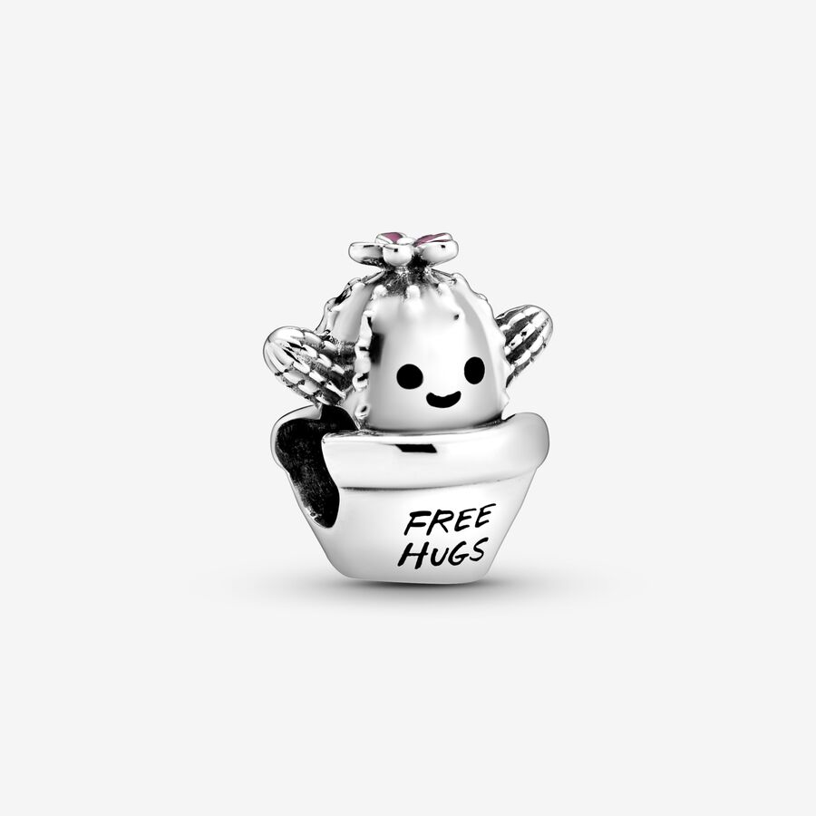 „Free Hugs“ Kaktus Charm image number 0