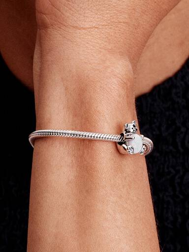 Charm Orso polare
