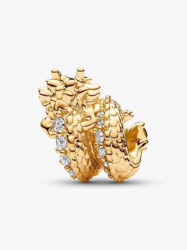 Charm drago