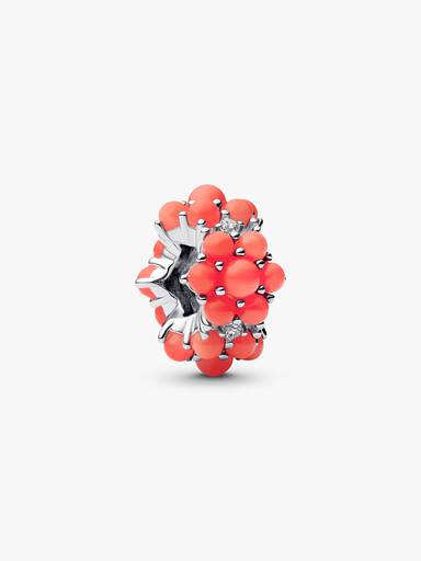 Charm Océan Couleur Corail