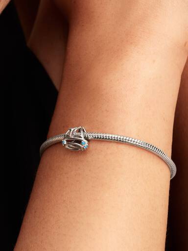 Segelboot Charm