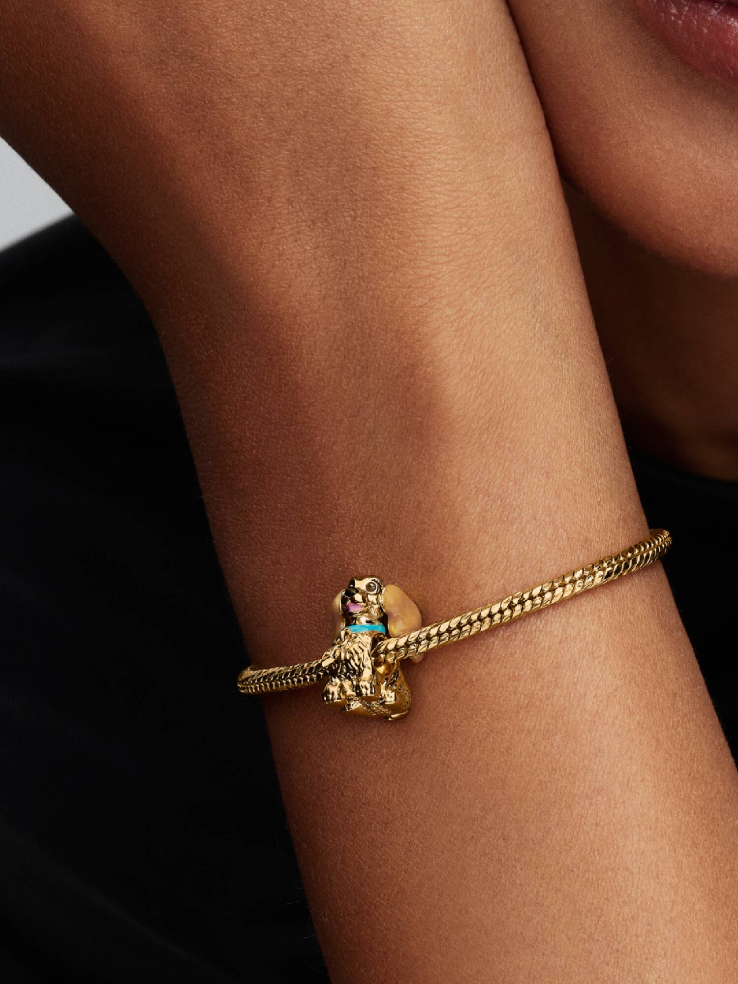 Disney Susi Charm