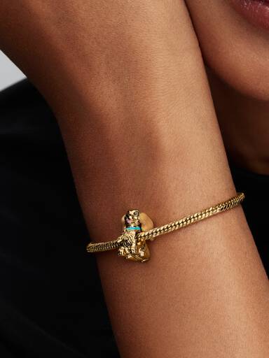 Charm Disney La Belle