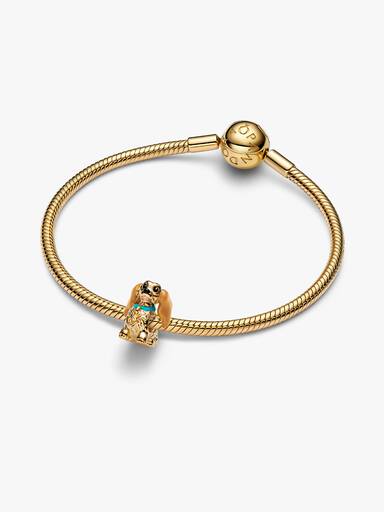 Charm Disney La Belle