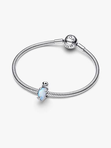 Robbe Charm