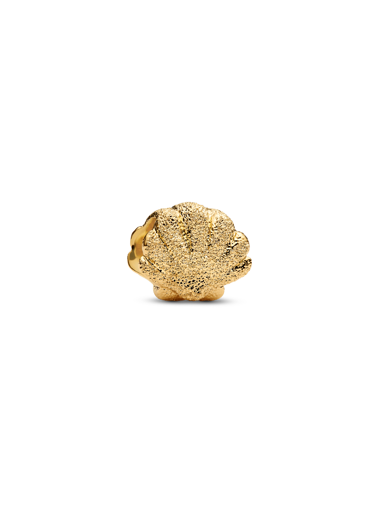 Strukturierte Muschel Mini-Charm