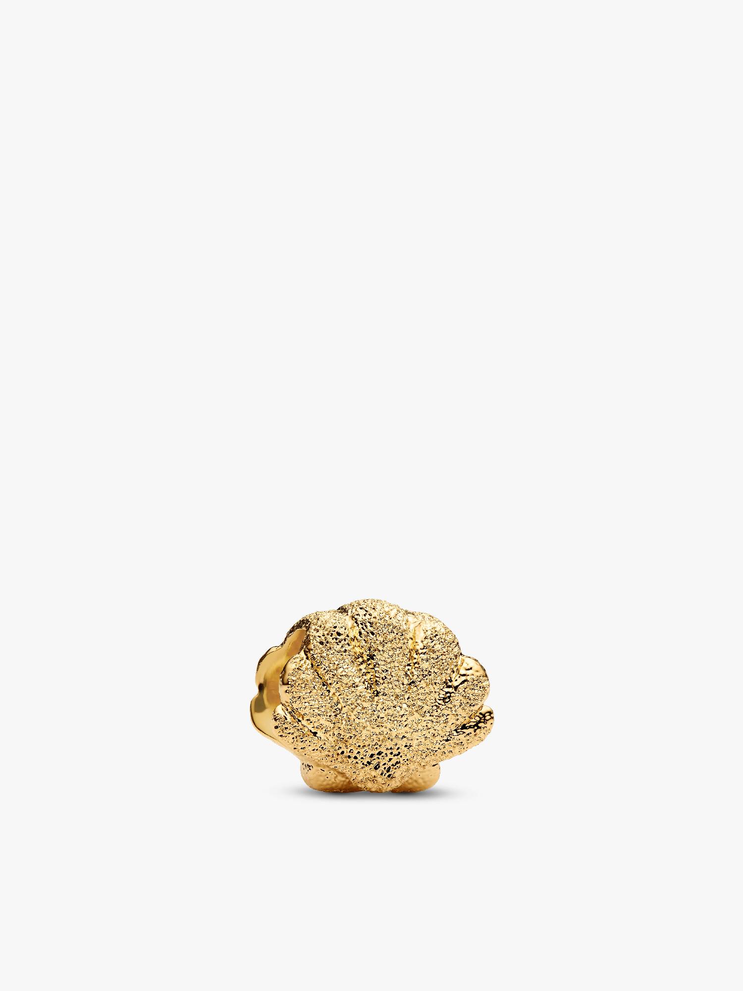 Strukturierte Muschel Mini-Charm