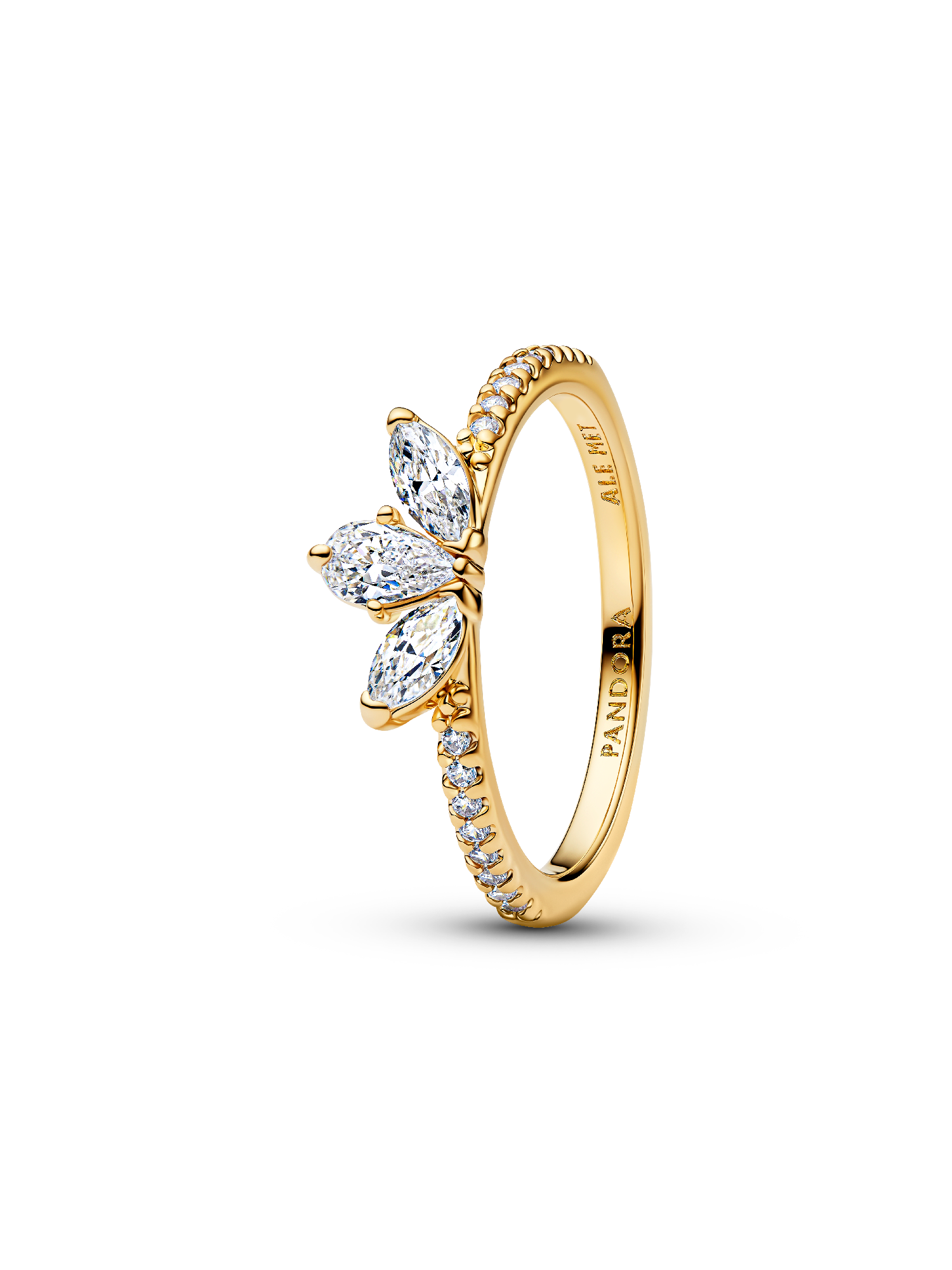 Funkelnder Herbarium Cluster Ring