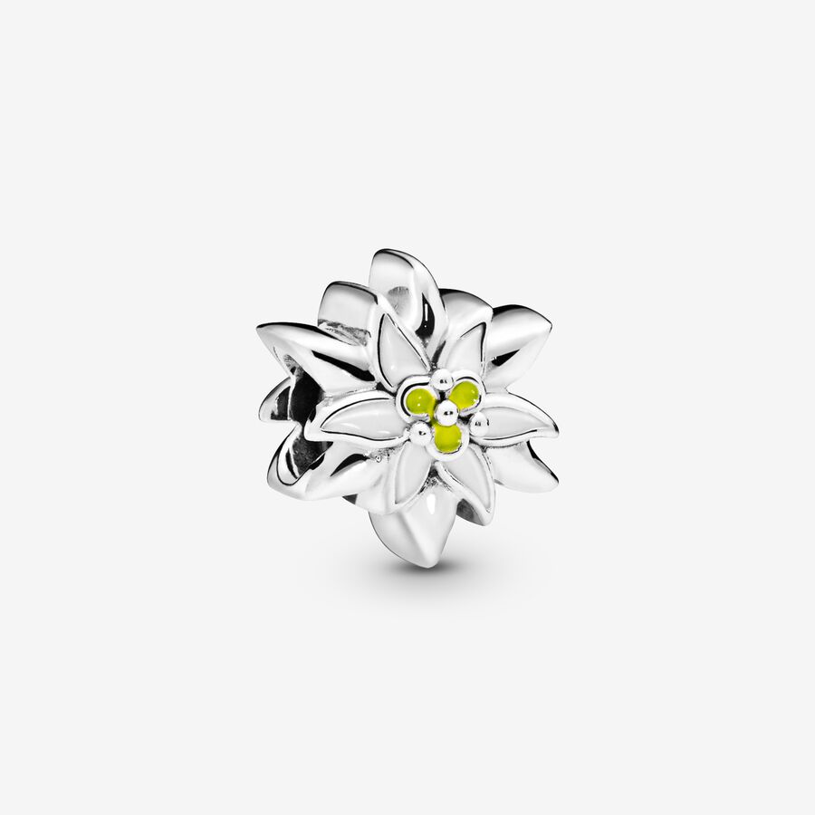 Edelweiss Flower Charm image number 0