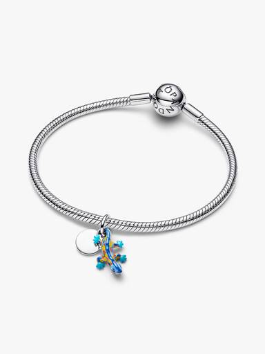 Charm pendente doppio Salamandra e targhetta rotonda da incidere